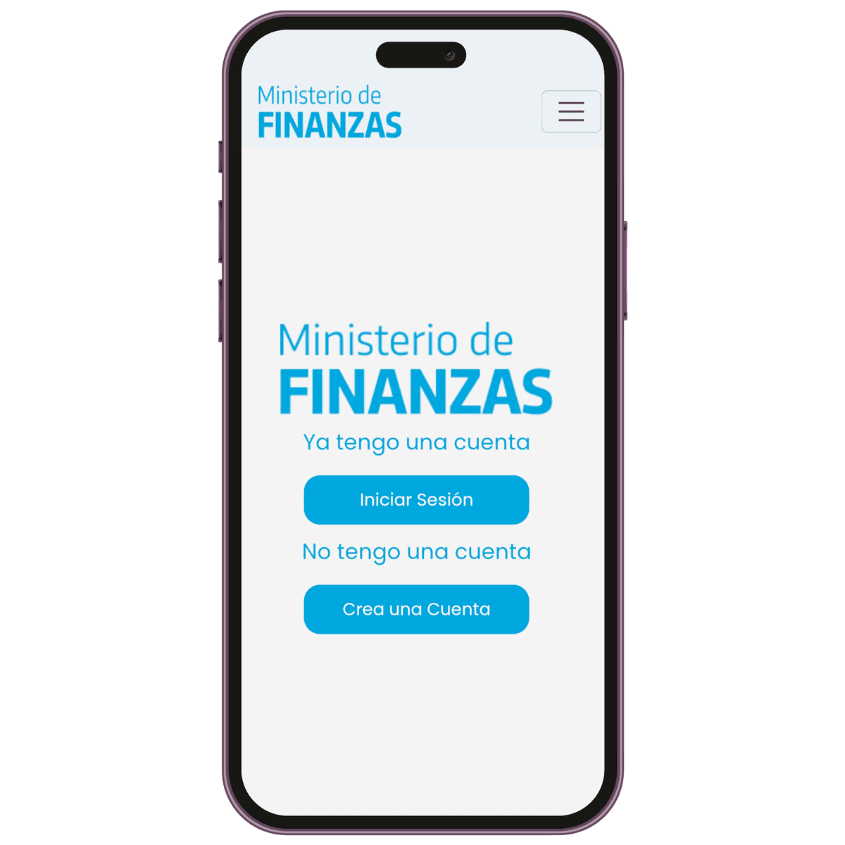 financeiphone1.png